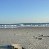 Debra Rogers Photo 42
