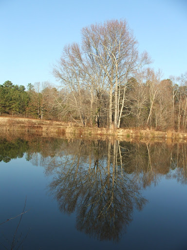 Donna Bradley Photo 42