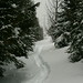 Steven Piatt Photo 7