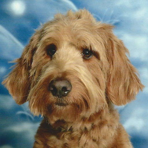 Linda Dow Photo 13