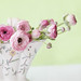 Susan Jewell Photo 12
