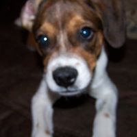 Beverly Rouse Photo 17