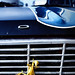 Rene Falcon Photo 13