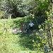 Craig Shirley Photo 6
