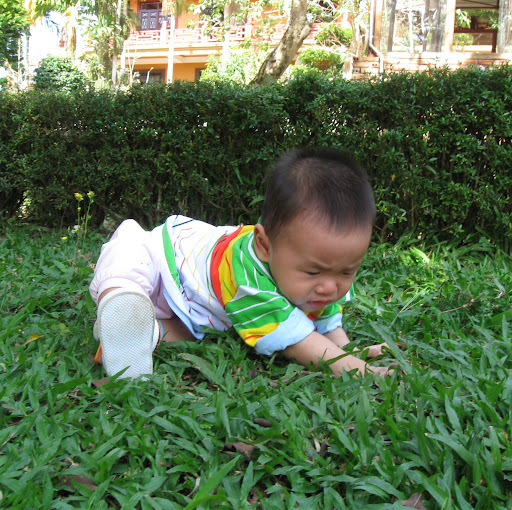 Minh Pham Photo 24