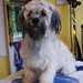 Bruce Combs Photo 20