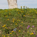 John Teter Photo 10