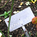 Arthur Bell Photo 13