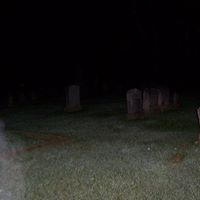 Suzanne Holden Photo 6
