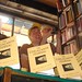 Susan Brophy Photo 48