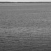 Rayburn Free Photo 6