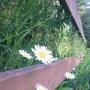 Catherine Elliott Photo 39