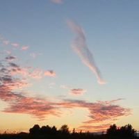 David Appel Photo 21