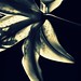 Deb Lilly Photo 5