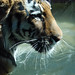 Kelly Horne Photo 10