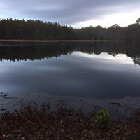 Jason Jeffers Photo 25