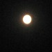 Joy Chowdhury Photo 10