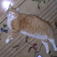 Frances Worley Photo 9