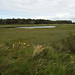 Richard Fons Photo 8