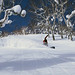 Anton Jansen Photo 4