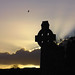 Dawn Cross Photo 18
