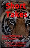 Short Takes: 2 Guys Without A Clue, Volume 1 (Short Takes:2 Guys Without A Clue, Volume 1)