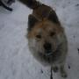 Kent Blevins Photo 20