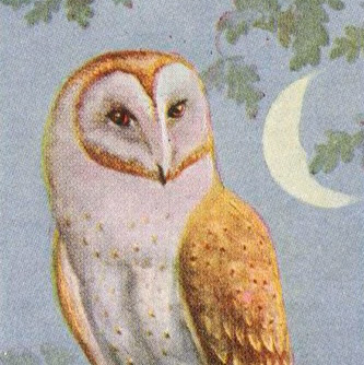Adrienne Adams Photo 23