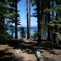 Anne Plummer Photo 15