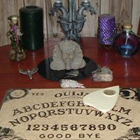 Donna Phoenix Photo 14