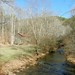 Dennis Mills Photo 31