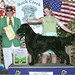 Jerry Weiss Photo 37
