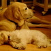 Ruby Duncan Photo 9