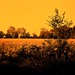 Fredrick Robertson Photo 8