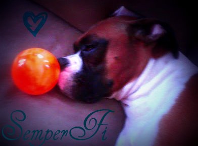 Amber Nance Photo 23