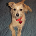 Russell Reagan Photo 11
