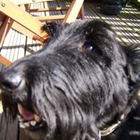 Janice Parnell Photo 8