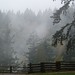 Misty Mckay Photo 10