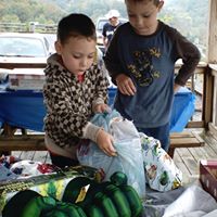 Connie Mcclanahan Photo 16