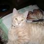 Brenda Staggs Photo 15
