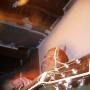 Steve Wolfe Photo 43