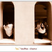 Jeremy Ahrens Photo 35