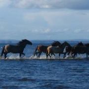 Anne Stone Photo 11
