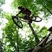 Diane Hanks Photo 9