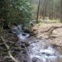 Thomas Haworth Photo 22