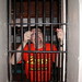 Nicholas Carleton Photo 3