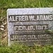 Alfred Adams Photo 44