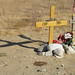 James Schultz Photo 21