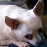Sharon Adair Photo 2