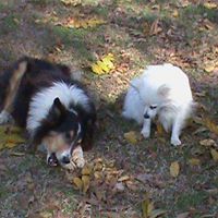 Don Corley Photo 14